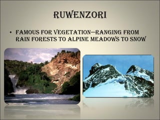 Ruwenzori Famous for vegetation—ranging from rain forests to alpine meadows to snow 