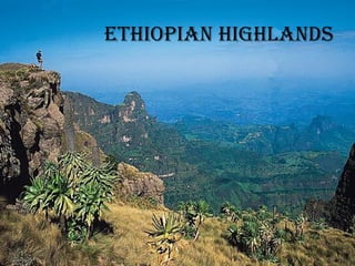 Ethiopian Highlands 