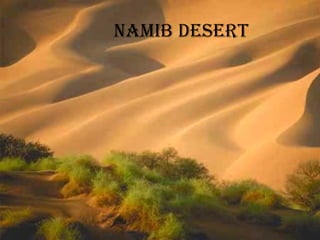 Namib Desert 