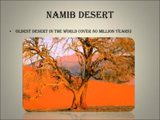 Namib Desert Oldest Desert in the World (over 80 million years) 