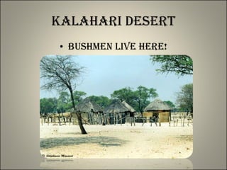 Kalahari Desert Bushmen live here! 
