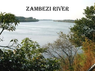 Zambezi River 