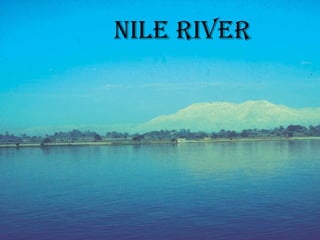 Nile River 