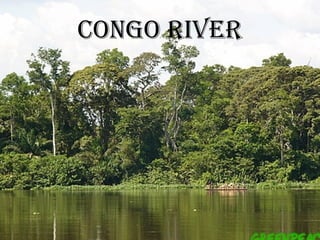 Congo River 