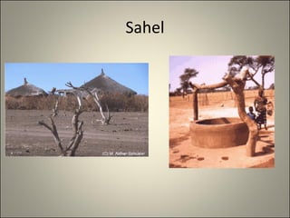 Sahel 