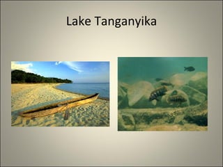 Lake Tanganyika 