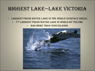 Biggest Lake—Lake Victoria Largest fresh water lake in the world (surface area) 7 th  largest fresh water lake in world by volume Has more than 3000 islands 