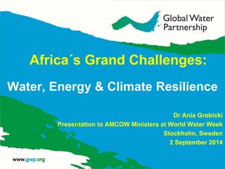 Africa´s Grand Challenges: 
Water, Energy & Climate Resilience 
Dr Ania Grobicki 
Presentation to AMCOW Ministers at World Water Week 
Stockholm, Sweden 
2 September 2014 
 