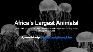Africa’s Largest Animals!
(And other unbelievably large creatures around the world that are just too
strange to exclude)

A presentation by Woodall Country House & Spa

 