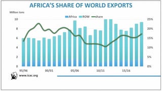 Africa's share of world cotton lint exports (ICAC)