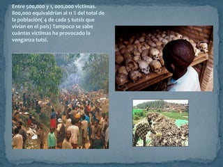 TierraLimites flexibles