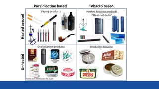 Smokeless tobacco
Tobacco based
Pure nicotine based
Heated
aerosol
Unheated
Vaping products Heated tobacco products
“Heat-not-burn”
Items are not shown to scale
Oral nicotine products
10
 