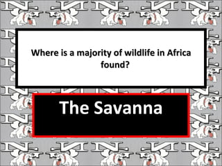 Where is a majority of wildlife in Africa found? The Savanna 