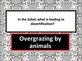 In the Sahel, what is leading to desertification? Overgrazing by animals 