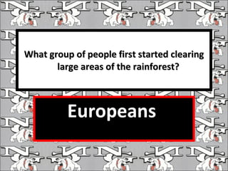 What group of people first started clearing large areas of the rainforest? Europeans  