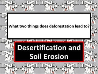 What two things does deforestation lead to? Desertification and Soil Erosion 