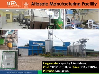 www.iita.orgA member of CGIAR consortium
Aflasafe Manufacturing Facility
Large-scale: capacity 5 tons/hour
Cost: ~US$1.6 million; Price: $14 - $18/ha
Purpose: Scaling up
 
