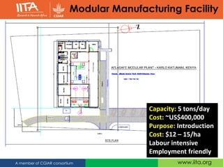 www.iita.orgA member of CGIAR consortium
Modular Manufacturing Facility
Capacity: 5 tons/day
Cost: ~US$400,000
Purpose: Introduction
Cost: $12 – 15/ha
Labour intensive
Employment friendly
 