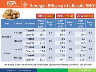 www.iita.orgA member of CGIAR consortium
Area Sample Treatment
Mean
Aflatox
(ppb)
Reduct.
(%)
Mean
Aflatox
(ppb)
Reduct.
(%)
Mean
Aflatox
(ppb)
Reduct.
(%)
Diourbel
Harvest
Treated 1.9
93
6.6
87
3.7
82
Control 29.7 50.1 20.3
Storage
Treated 4.4
86
2.1
91
6.9
81
Control 31.3 22.1 35.5
Nioro
Harvest
Treated 4.4
75
5.6
76
5.4
90
Control 17.6 23.1 55.7
Storage
Treated 3.5
95
2.8
94
11.5
84
Control 52.1 46.7 72.5
*All means of aflasafe treated and control pairs significantly different; Student’s t-test (P<0.05)
Senegal: Efficacy of aflasafe SN01
2010 (n=40) 2011 (n=34) 2012 (n=71)
 