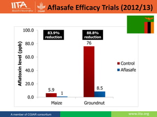www.iita.org
Aflasafe Efficacy Trials (2012/13)
www.iita.orgA member of CGIAR consortium
5.9
76
1
8.5
Maize Groundnut
0.0
20.0
40.0
60.0
80.0
100.0
Aflatoxinlevel(ppb)
Control
Aflasafe
83.9%
reduction
88.8%
reduction
 