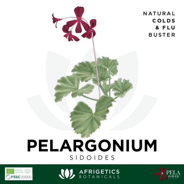 Afrigetics Pelargonium Sidoides Brochure