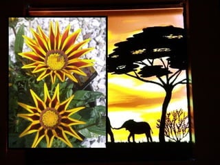 Afrikai  aranyvirág    Gazania