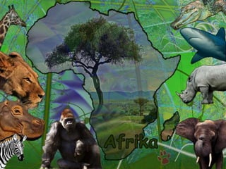 Afrikas djur/ Animals in Africa