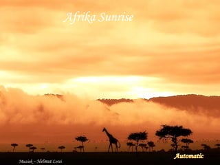 Afrika SunriseAfrika Sunrise
Muziek – Helmut Lotti
 