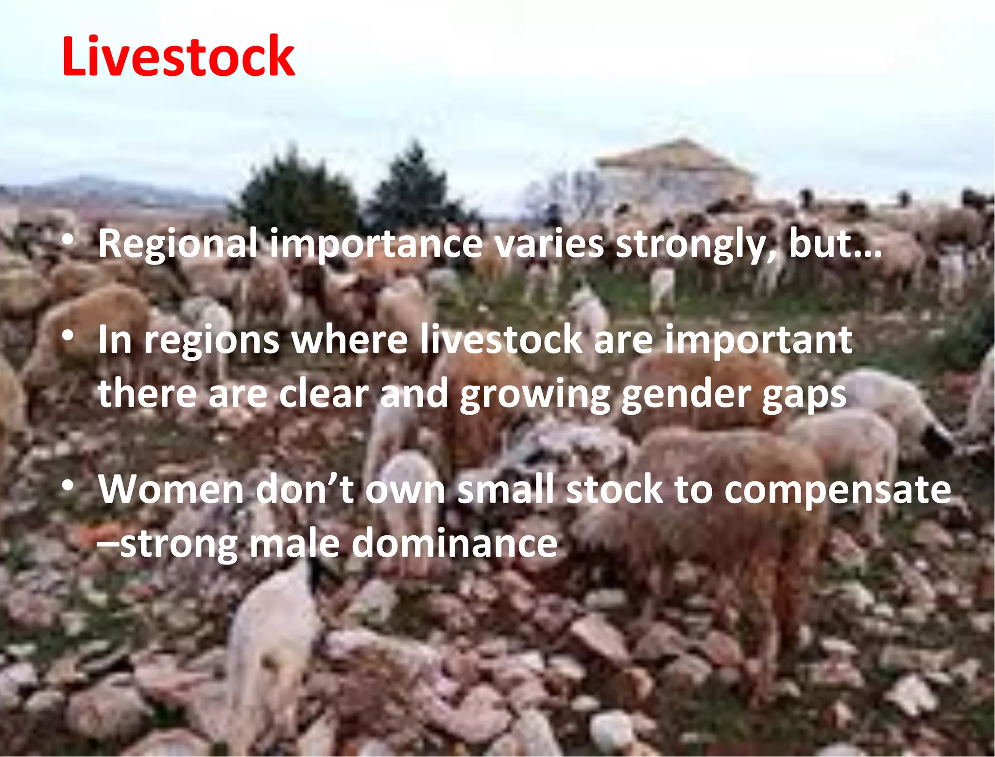 Livestock
• Regional importance varies strongly, but…
• In regions where livestock are important
there are clear and growing gender gaps
• Women don’t own small stock to compensate
–strong male dominance
 