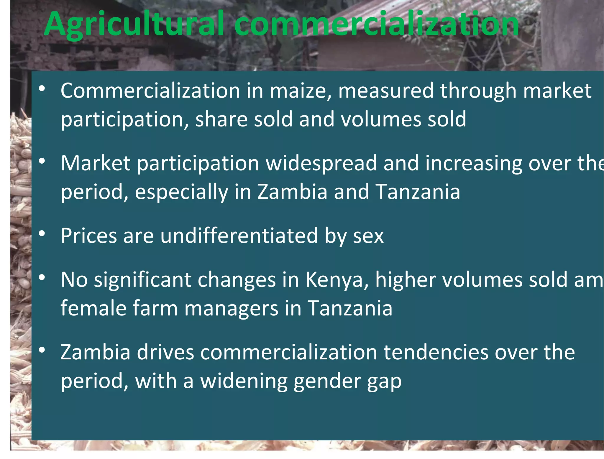Agricultural commercialization
• Commercialization in maize, measured through market
participation, share sold and volumes sold
• Market participation widespread and increasing over the
period, especially in Zambia and Tanzania
• Prices are undifferentiated by sex
• No significant changes in Kenya, higher volumes sold am
female farm managers in Tanzania
• Zambia drives commercialization tendencies over the
period, with a widening gender gap
 