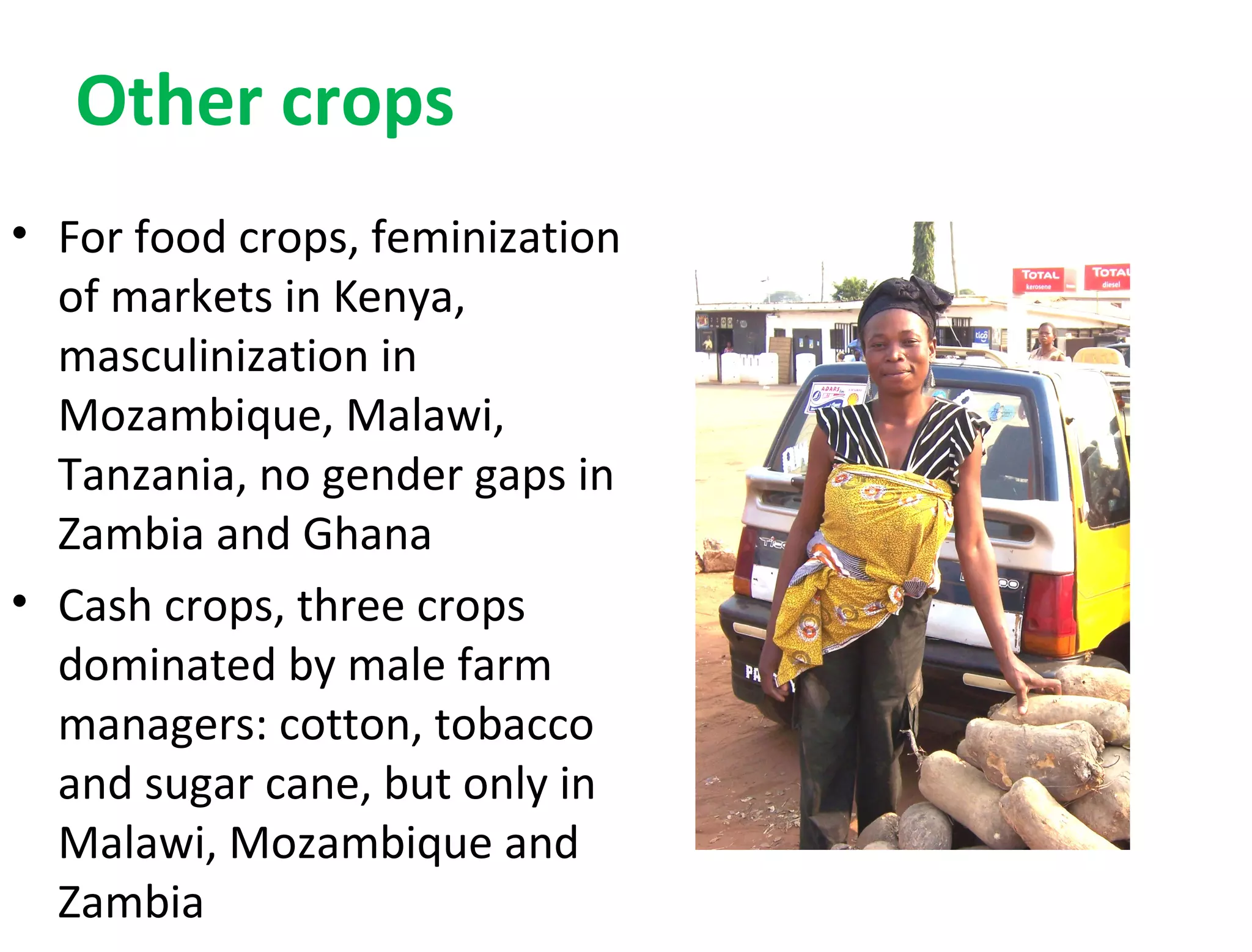 Other crops
• For food crops, feminization
of markets in Kenya,
masculinization in
Mozambique, Malawi,
Tanzania, no gender gaps in
Zambia and Ghana
• Cash crops, three crops
dominated by male farm
managers: cotton, tobacco
and sugar cane, but only in
Malawi, Mozambique and
Zambia
 