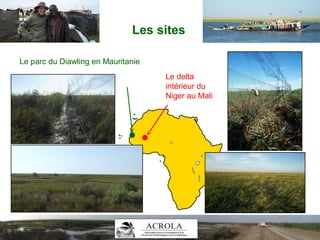 Les sites
Le parc du Diawling en Mauritanie
Le delta
intérieur du
Niger au Mali
 