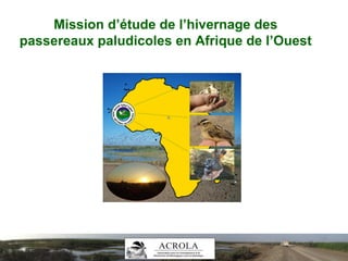 Mission d’étude de l’hivernage des
passereaux paludicoles en Afrique de l’Ouest
 