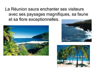 La Réunion saura enchanter ses visiteurs
  avec ses paysages magnifiques, sa faune
  et sa flore exceptionnelles.
 