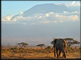Africa - Pessoas, animais e paisagens
