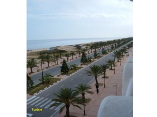 Tunisie
 