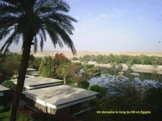 Un domaine le long du Nil en Égypte
 