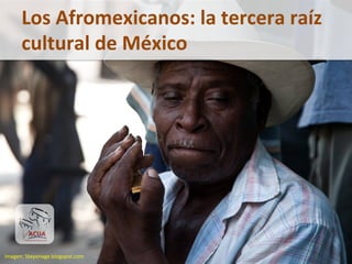 Los	
  Afromexicanos:	
  la	
  tercera	
  raíz	
  
cultural	
  de	
  México	
  
Imagen:	
  Steyonage.blogspot.com	
  
 