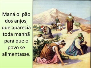 Maná o pão
dos anjos,
que aparecia
toda manhã
para que o
povo se
alimentasse.
 