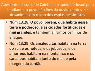 Apesar do discurso de Calebe, e o apoio de Josué para
ir adiante, o povo não lhes dá ouvido, antes se
desanima com relato dos espias pessimistas
• Núm 13:28 O povo, porém, que habita nessa
terra é poderoso, e as cidades fortificadas e
mui grandes; e também ali vimos os filhos de
Enaque.
• Núm 13:29 Os amalequitas habitam na terra
do sul; e os heteus, e os jebuseus, e os
amorreus habitam na montanha; e os
cananeus habitam junto do mar, e pela
margem do Jordão.
 