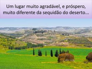 Um lugar muito agradável, e próspero,
muito diferente da sequidão do deserto...
 