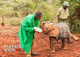 PARTNER
WITH US David Sheldrick Elephant Orphanage,
Nairobi, Kenya
 