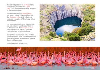 The vibrant pink hue of Lac Rose and the
phenomenal wonder that is Oguta
Lake - both illustrate some of the wonders
of the western region.
The southern region’s Kimberly Hole -
the world’s biggest excavated hole, and
the Okavango Delta speak volumes as
confident examples of Africa’s grip on her
environment.
Not forgetting the northern region which
has for centuries been feeding the rest
of the world with the Pyramids of Gaza
– an attestation to the birth of ancient
civilization and its origin in Africa.
The pristine wildernesses of the eastern
regions boasts of lands full of mesmerising
overcast skies and an underlay of magical
dunes and landscapes.
This is the magic that is Africa.
Big Hole,
Kimberly, South Africa
Lac Rose / Pink Lake,
Senegal
 