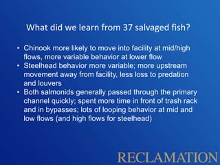What did we learn from 37 salvaged fish?
• Chinook more likely to move into facility at mid/high
flows, more variable behavior at lower flow
• Steelhead behavior more variable; more upstream
movement away from facility, less loss to predation
and louvers
• Both salmonids generally passed through the primary
channel quickly; spent more time in front of trash rack
and in bypasses; lots of looping behavior at mid and
low flows (and high flows for steelhead)
 