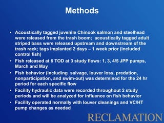 Methods
• Acoustically tagged juvenile Chinook salmon and steelhead
were released from the trash boom; acoustically tagged adult
striped bass were released upstream and downstream of the
trash rack; tags implanted 2 days – 1 week prior (included
control fish)
• Fish released at 6 TOD at 3 study flows: 1, 3, 4/5 JPP pumps,
March and May
• Fish behavior (including salvage, louver loss, predation,
nonparticipation, and swim-out) was determined for the 24 hr
period for each specific flow
• Facility hydraulic data were recorded throughout 2 study
periods and will be analyzed for influence on fish behavior
• Facility operated normally with louver cleanings and VC/HT
pump changes as needed
 