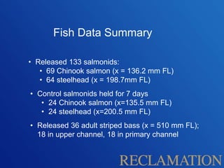 Fish Data Summary
• Released 133 salmonids:
• 69 Chinook salmon (x = 136.2 mm FL)
• 64 steelhead (x = 198.7mm FL)
• Control salmonids held for 7 days
• 24 Chinook salmon (x=135.5 mm FL)
• 24 steelhead (x=200.5 mm FL)
• Released 36 adult striped bass (x = 510 mm FL);
18 in upper channel, 18 in primary channel
 