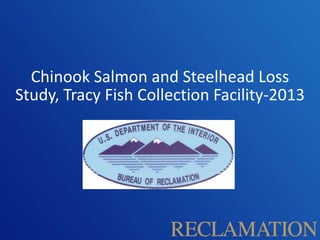 Chinook Salmon and Steelhead Loss
Study, Tracy Fish Collection Facility-2013
 