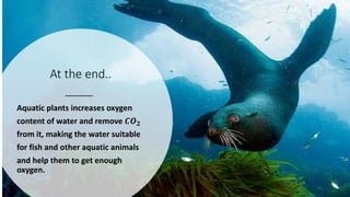 At the end..
Aquatic plants increases oxygen
content of water and remove 𝑪𝑶 𝟐
from it, making the water suitable
for fish and other aquatic animals
and help them to get enough
oxygen.
 