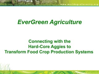 EverGreen Agriculture
Connecting with the
Hard-Core Aggies to
Transform Food Crop Production Systems
 