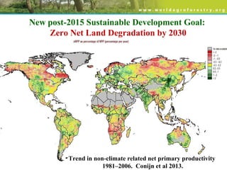 Trend in non-climate related net primary productivity
1981–2006. Conijn et al 2013.
New post-2015 Sustainable Development Goal:
Zero Net Land Degradation by 2030
 